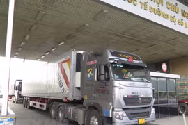 Implementation of import-export policies to be streamlined: experts