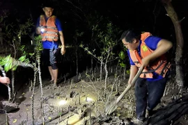 Ben Tre to grow 171 ha of forest this year