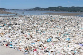 Vietnam actively participates in negotiations on global treaty on plastics pollution