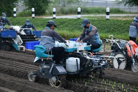 Thailand strives for innovation in agriculture 