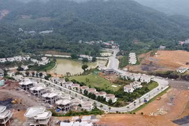 Resort real estate anticipates recovery this year