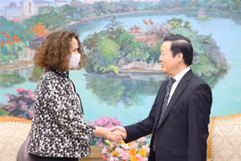 Deputy PM hosts WB Country Director for Vietnam