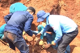 Remains of 20 fallen soldiers found in a hamlet in Binh Phuoc