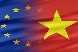 EU always considers Vietnam an important partner: Ambassador