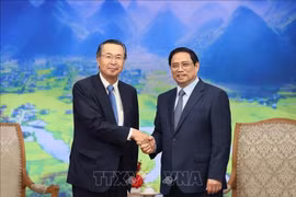 JETRO suggested to help Japanese firms invest more in Vietnam