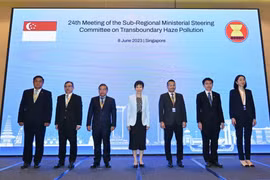 Southeast Asian nations join hands to cope with haze pollution