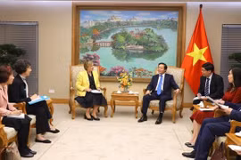 Deputy Prime Minister receives UNICEF Representative in Vietnam