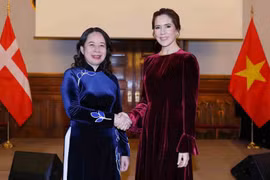 Vice President’s visits to Denmark, Norway help consolidate traditional friendship: Diplomat