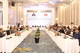 Vietnam, Cuba hold fifth Theoretical Symposium