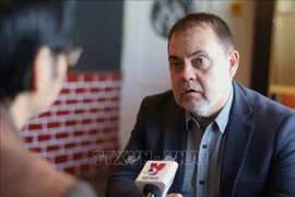 Vietnam’s multilateral diplomacy helps build modern country: Russian expert