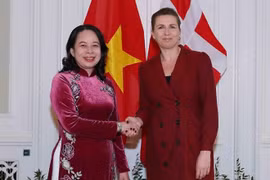 Vietnam, Denmark agree to soon implement green strategic partnership