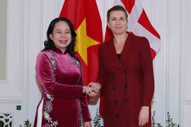 Vietnam, Denmark agree to soon implement green strategic partnership