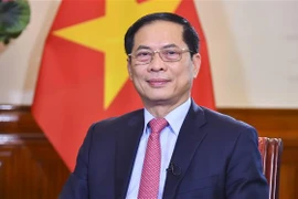 Further efforts planned to promote Vietnamese bamboo diplomacy: FM