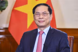 Further efforts planned to promote Vietnamese bamboo diplomacy: FM
