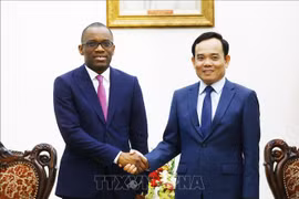 Deputy PM Tran Luu Quang receives Beninese Foreign Minister