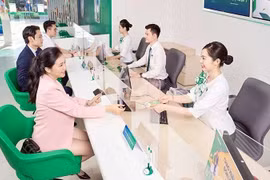 More incentives needed to support green credit: Experts