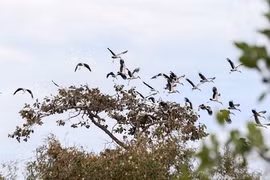 National Park sees better protection thanks to eco-tourism