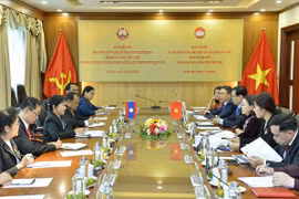 Vietnamese, Lao fronts enjoy fruitful cooperation: officials