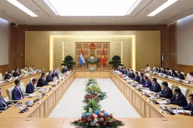 Prime Ministers of Vietnam, Luxembourg hold talks in Hanoi