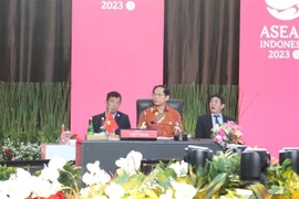 ASEAN should maintain balanced, harmonious approach to partners: FM Son