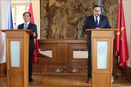 Vietnam treasures friendship, comprehensive cooperation with Czech Republic: FM