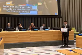 Vietnam maintains responsible contributions to SDG implementation: ambassador