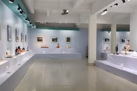 Bac Giang exhibition showcases Japanese dolls