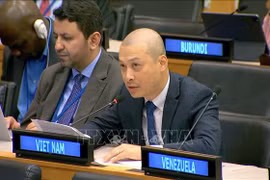 Vietnam urges comprehensive, breakthrough measures for sustainable development