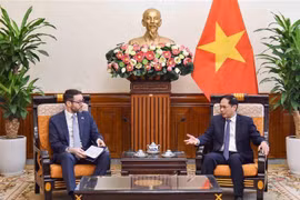 Vietnamese FM suggests expanding cooperation in areas of UK’s strength