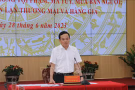 Deputy PM directs fight against IUU, smuggling, drug trafficking in Mekong Delta