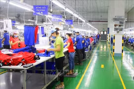 Vietnam, Singapore foster cooperation in facilitating innovation 