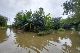 PM orders proactive responses to flood risks in central region