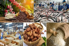 Agro-forestry-fishery exports reach 3.7 bln USD in January