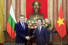 President receives newly accredited foreign ambassadors