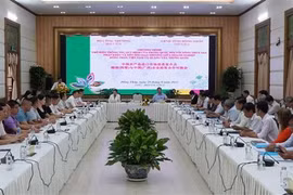 Dong Thap, China's Guangxi eye stronger trade ties