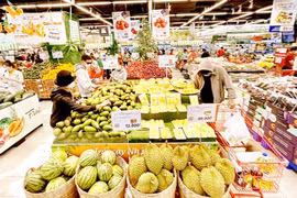 Numerous foreign firms eye stronger investment in Vietnam