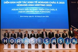 Binh Duong hosts 2023 Horasis Asia Meeting 