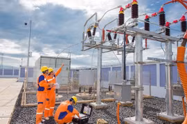 Fitch affirms Vietnam Electricity Northern Power Corporation at 'BB', outlook positive