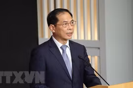 Vietnamese FM attends preparatory meeting for 2024 future summit, holds bilateral meetings
