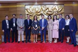 Vietnam attaches importance to ties with Cuba: VUFO President