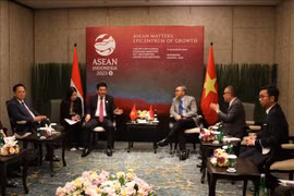 Vietnam, Indonesia seek stronger investment, trade partnership
