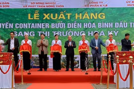 Hoa Binh exports first batch of “Dien” pomelos to US