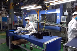 Plastic sector pioneering in green production