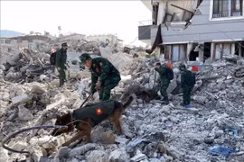 Vietnam announces 200,000 USD aid to Turkey, Syria after earthquake
