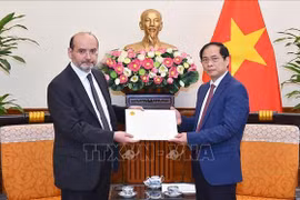 Foreign Minister: Vietnam ready to join post-quake reconstruction in Turkey