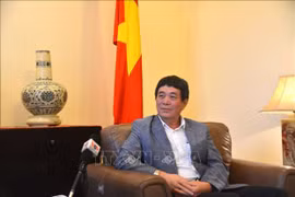 Vietnam promotes solidarity, consensus in ASEAN at AMM-56: diplomat