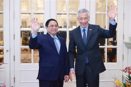 PM’s Singapore visit brings about substantive results to both sides: expert