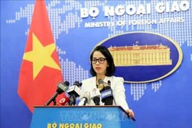Diplomatic efforts assist Chinese killed in Khanh Hoa traffic accident: spokesperson
