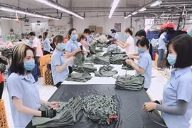 China’s FDI inflows to Vietnam to increase: Agriseco