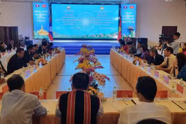 Vietnam, Laos boost front work cooperation among localities
